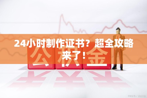 武平24小时制作证书？超全攻略来了！